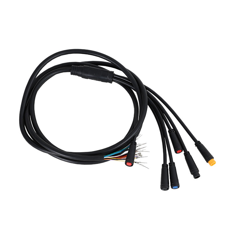 Integrated wiring harness