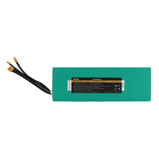 Li-on Battery 72V 24Ah